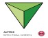preview Акрилова фарба SPECTRAL GREEN / Спектральний зелений QUICK GEN COLOR AK-Interactive AK 17016