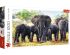 preview Puzzles African elephants 1000pcs