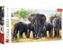 preview Пазлы Африканские слоны 1000шт