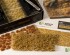 preview Набір пучків сухої трави Grass Tuft Starter Box - Dry з пінцетом та клеєм ПВА Gamers Grass GGSB-D