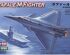 preview Збірна модель фразузького літака Rafale M Fighter