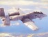 preview Сборная модель 1/48 Штурмовик N/AW А-10A &quot;THUNDERBOLT&quot; II ХоббиБосс 80324