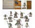 preview AGE OF SIGMAR: WARCRY - ROTMIRE CREED