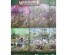 preview Игровой набор - WARHAMMER UNDERWORLDS: GITZ AND GOLIATHS