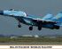 preview Збірна модель MiG-29 FULCRUM &quot;RUSSIAN FALCONS&quot;