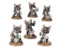 preview CHAMPIONS OF SLAANESH: EMPEROR'S CHILDREN ARMY SET (ENG)