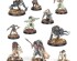 preview Игровой набор Warhammer AGE OF SIGMAR - SPEARHEAD: FLESH-EATER COURTS - CHARNEL WATCH