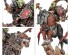 preview GLOOMSPITE GITZ: GITMOB ARMY SET (ENG)