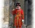 preview Tower Guard &quot;Beefeater&quot;
