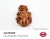 preview Acrylic paint HUMAN FLESH QUICK GEN COLOR AK-interactive AK 17057
