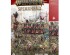preview Ігровий набір Warhammer AGE OF SIGMAR -SPEARHEAD: CITIES OF SIGMAR - FUSIL-PLATOON