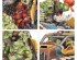 preview Игровой набор Warhammer 40000 -  ARMAGEDDON BATTALION - ORKS