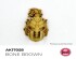 preview Акриловая краска BONE BROWN / Коричневая кость QUICK GEN COLOR AK-interactive AK 17058