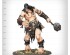 preview Ігровий набір Warhammer AGE OF SIGMAR - BRAWLERS OF BEHEMAT (ENG)