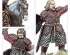 preview Ігровий набір LORD OF THE RINGS. MIDDLE-EARTH SBG: ROHAN BATTLEHOST
