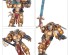 preview BLOOD ANGELS: SANGUINARY GUARD