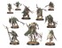 preview AGE OF SIGMAR: WARCRY - ROTMIRE CREED