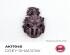 preview Акрилова фарба GREY SHADOW / Сіра тінь QUICK GEN COLOR AK-interactive AK 17040