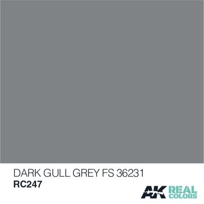 Dark Gull Grey FS 36231 / Темно-сірий детальное изображение Real Colors Краски