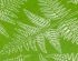 preview BRACKEN FERN 1/32 AND 1/35 - Листя папороті орляка