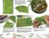preview FERN 1/32 AND 1/35 / Листья папоротника