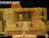 preview Modern IDF D9R Armored BullDozer slat armou