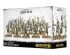 preview SYLVANETH DRYADS