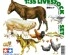 preview Scale model 1/35 Tamiya Livestock 35128